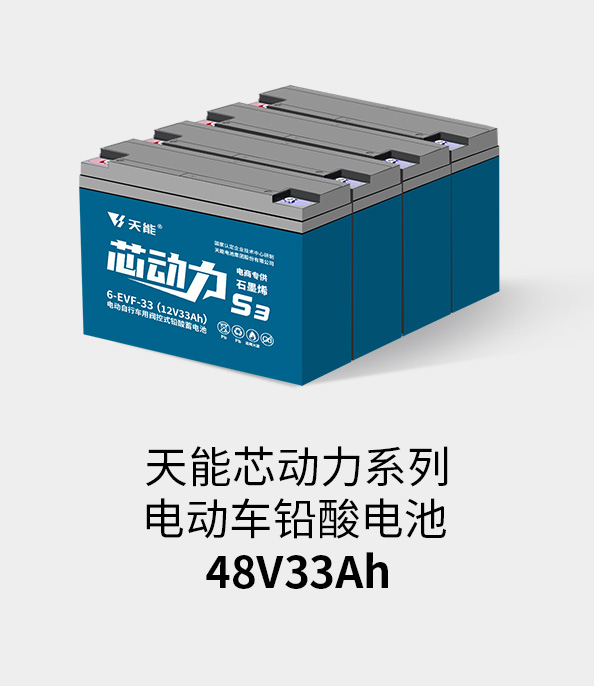 9999js金沙老品牌电池48v32ah