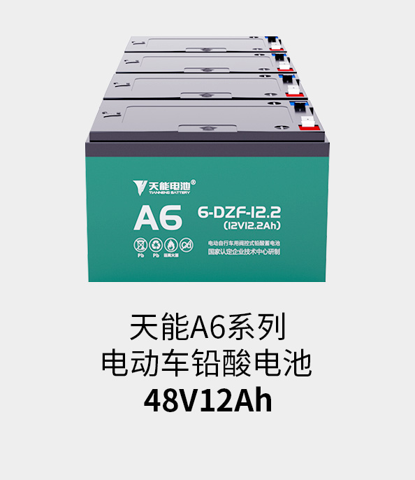 9999js金沙老品牌电池48v12ah