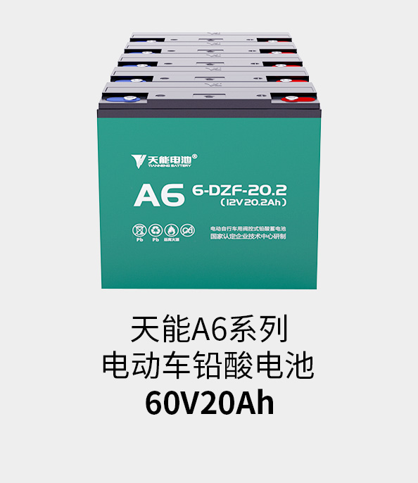 9999js金沙老品牌电池60v20ah