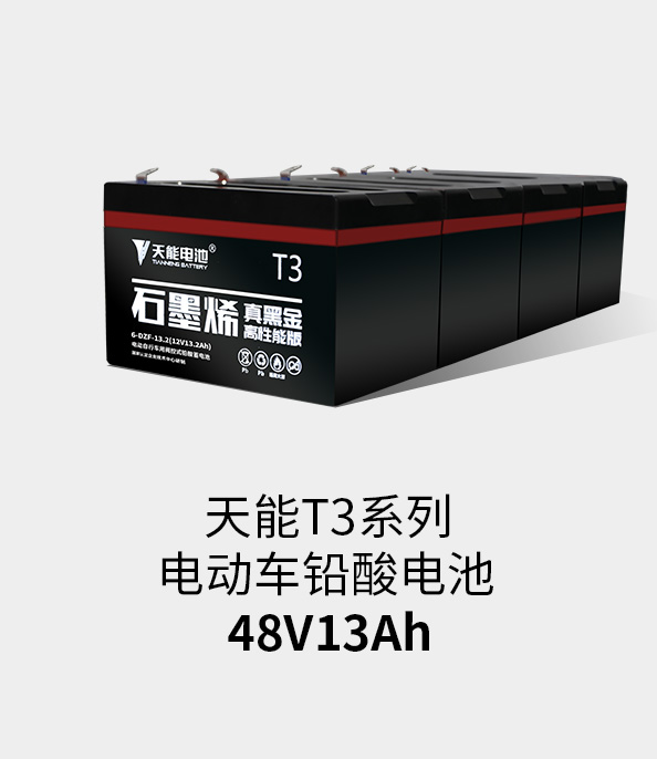 9999js金沙老品牌T3系列48v13ah