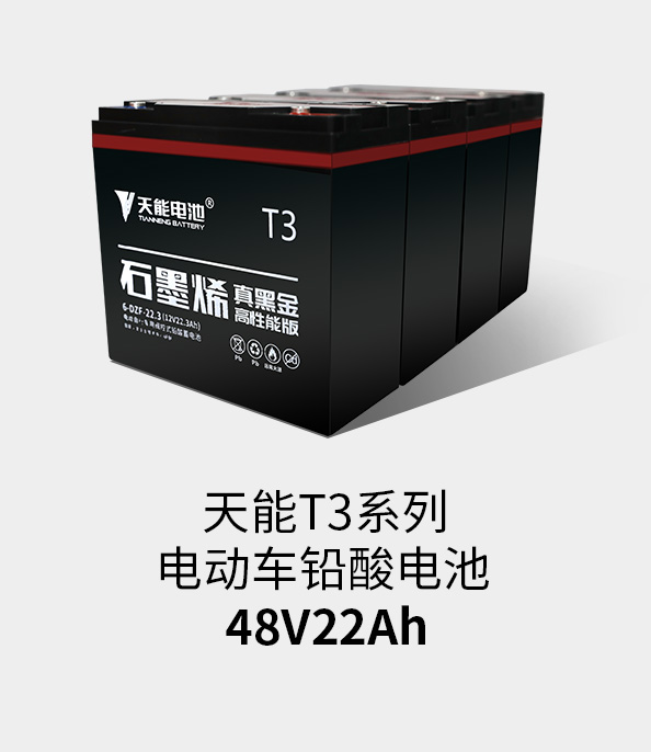 9999js金沙老品牌T3系列48v22ah